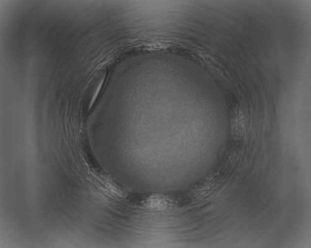 X0000051260608200507011720