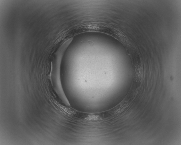 X0000051260609200507011720