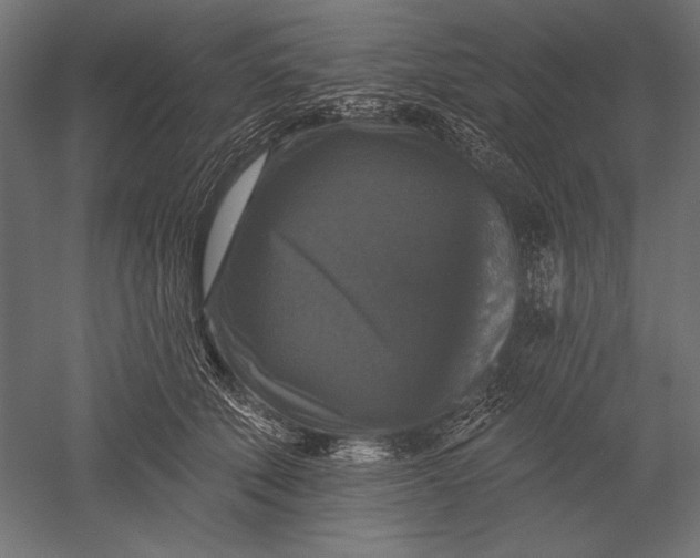 X0000051260610200507011720