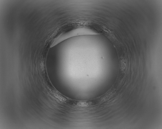 X0000051260613200507011720