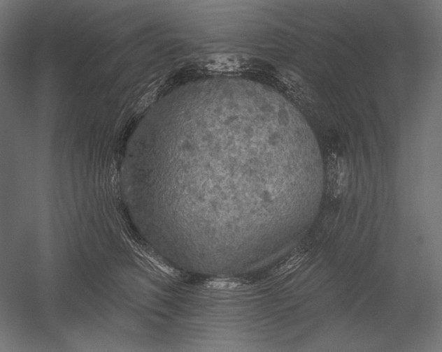 X0000051260614200507011720