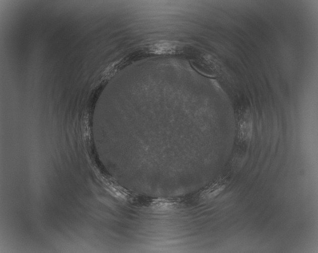 X0000051260620200507011720