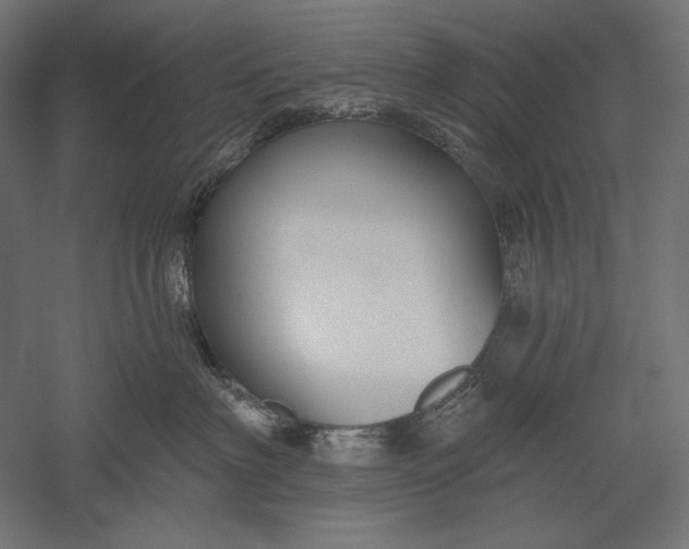 X0000051260622200507011720