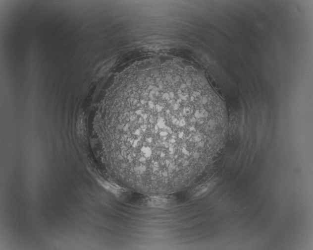X0000051260623200507011720