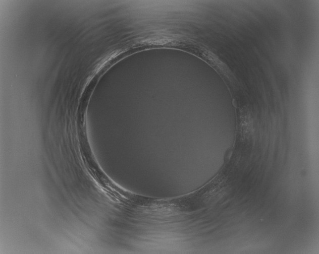 X0000051260626200507011719