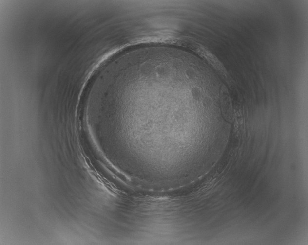 X0000051260628200507011719