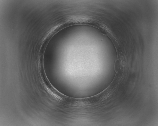 X0000051260629200507011719