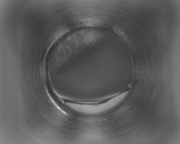X0000051260630200507011719