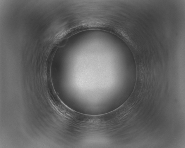 X0000051260631200507011719