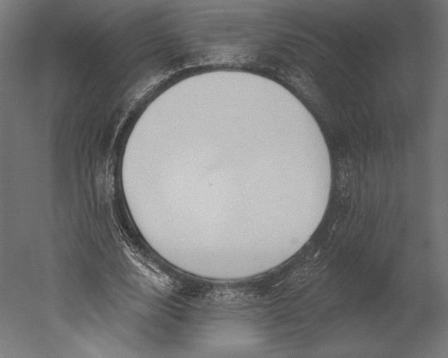 X0000051260632200507011719