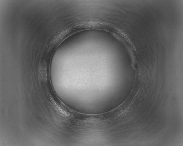 X0000051260633200507011719