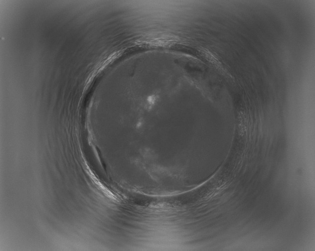 X0000051260634200507011719