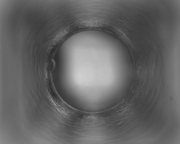 X0000051260635200507011719