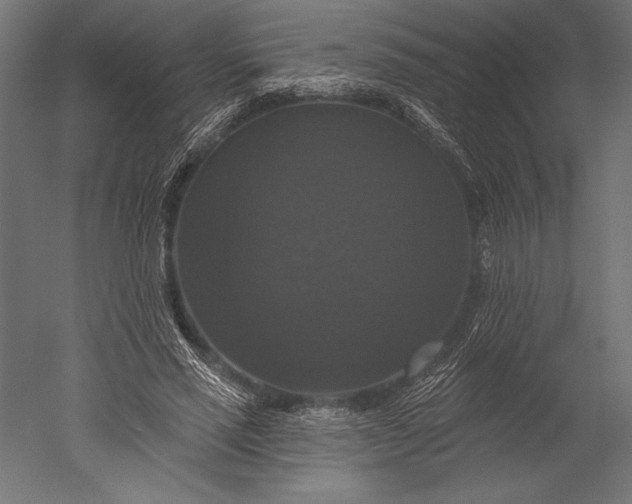 X0000051260637200507011719