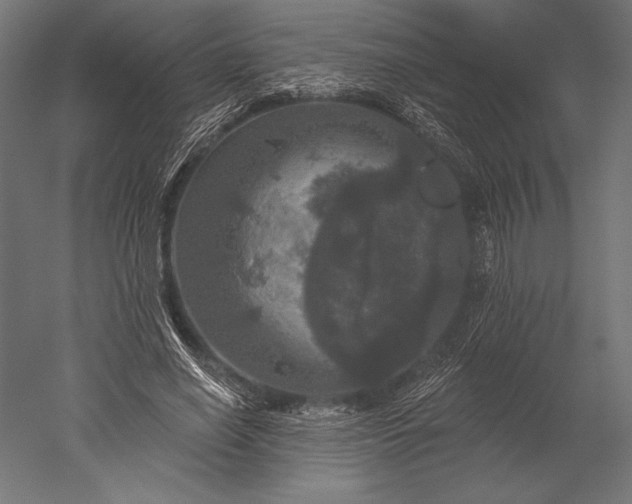 X0000051260638200507011719