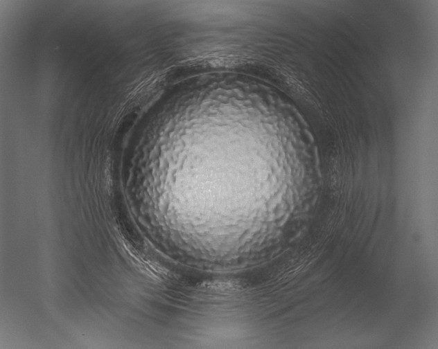 X0000051260639200507011719