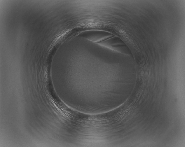 X0000051260640200507011719