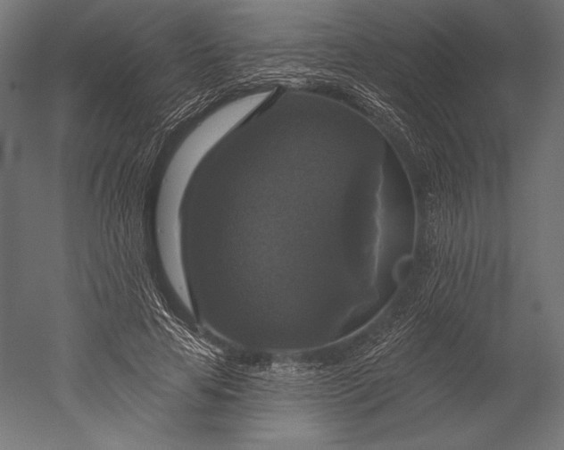 X0000051260641200507011719