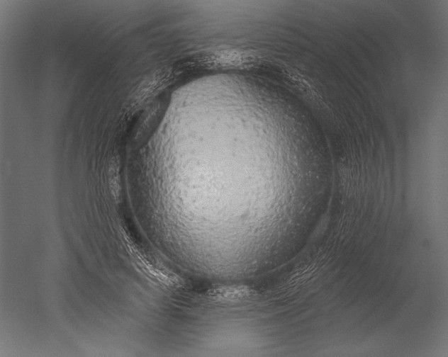 X0000051260642200507011719