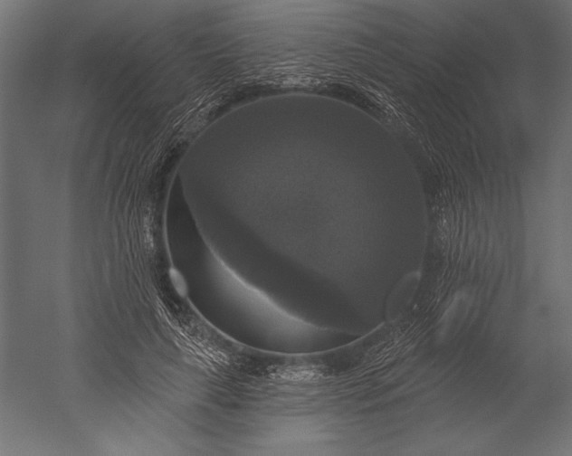 X0000051260643200507011719