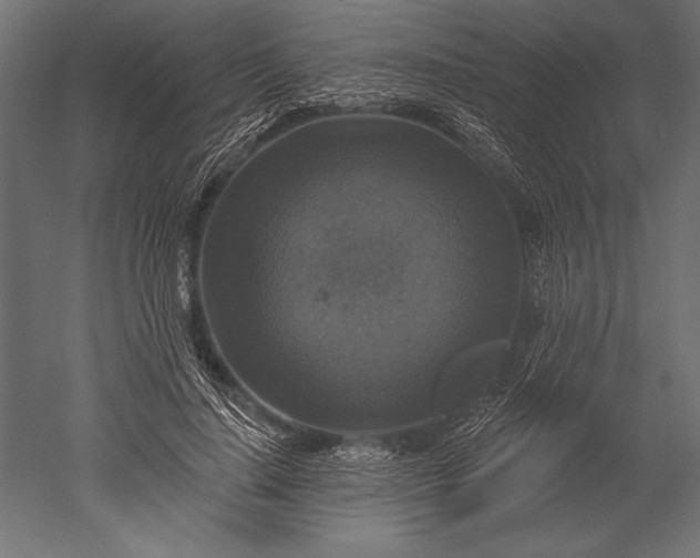 X0000051260644200507011719