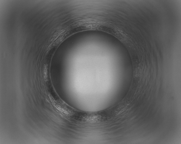 X0000051260646200507011720