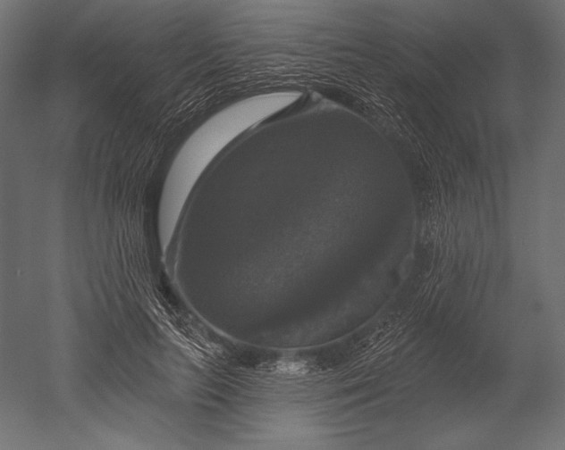 X0000051260647200507011720