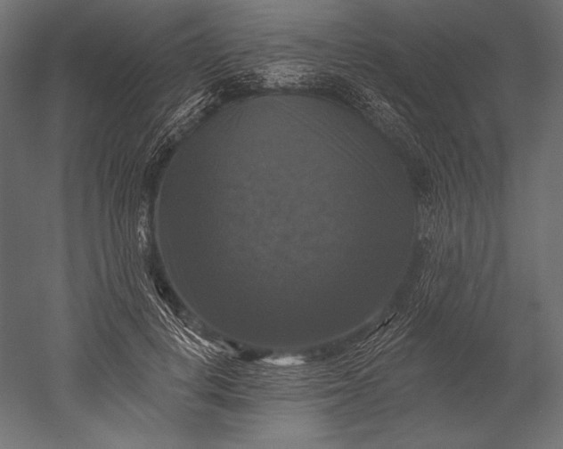 X0000051260648200507011720