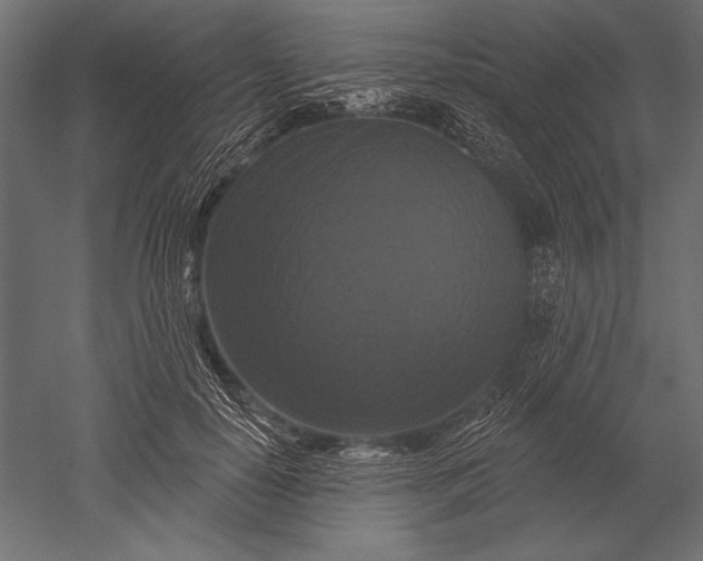 X0000051260650200507011720