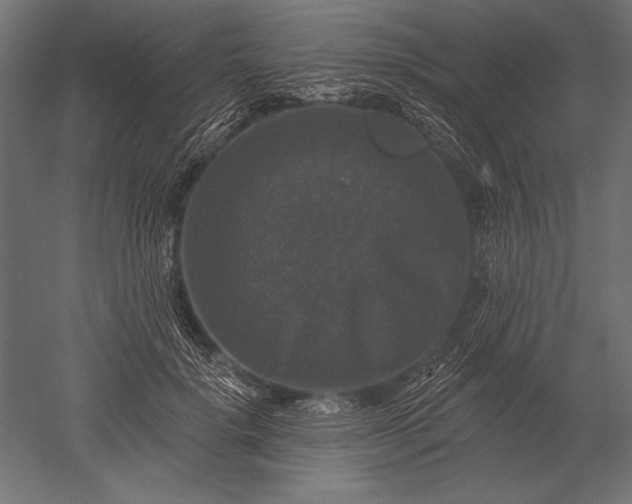 X0000051260652200507011720