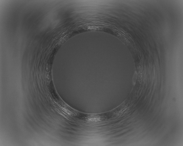 X0000051260653200507011720