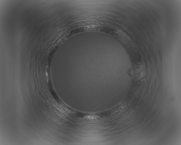 X0000051260654200507011720