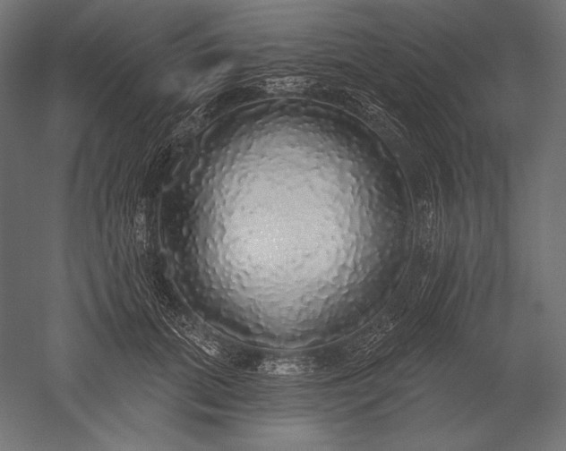 X0000051260655200507011720