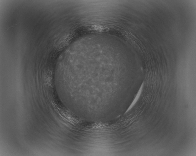 X0000051260656200507011720