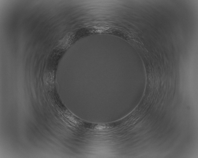 X0000051260657200507011720