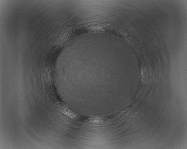 X0000051260658200507011720
