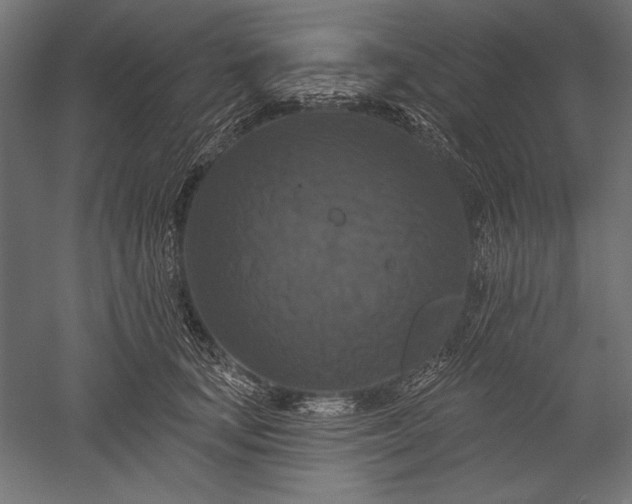 X0000051260659200507011720