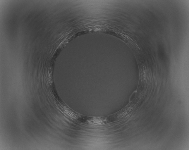 X0000051260661200507011720