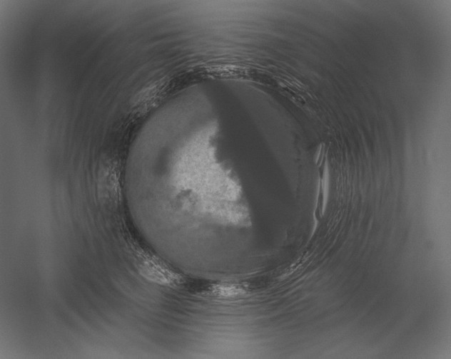 X0000051260662200507011720