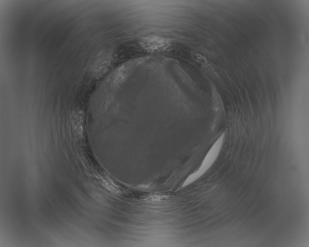 X0000051260664200507011720