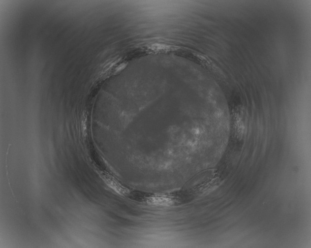 X0000051260668200507011720