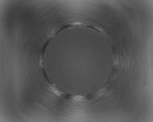 X0000051260669200507011720