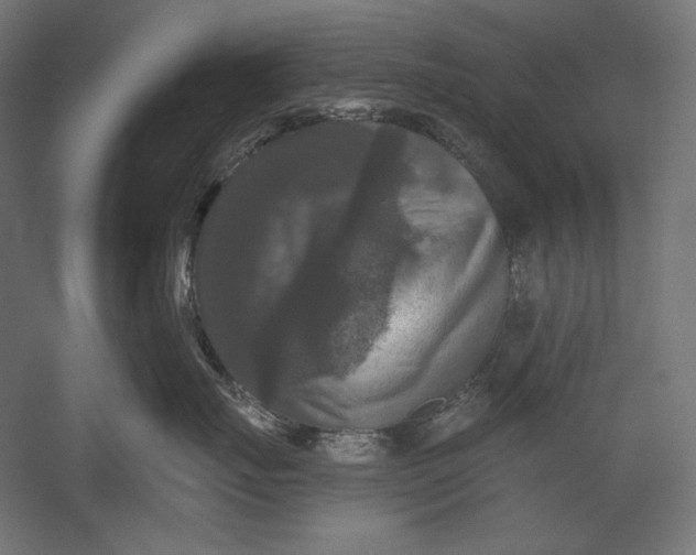 X0000051260671200507011720