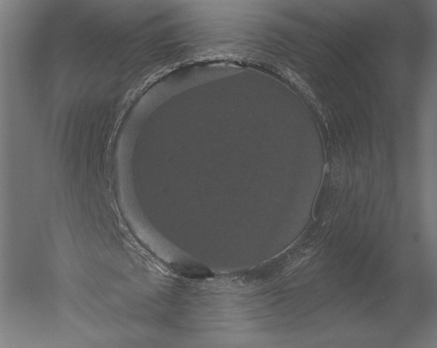 X0000051260673200507011719