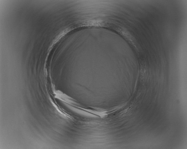X0000051260674200507011719