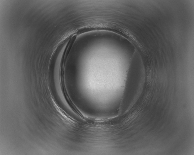 X0000051260677200507011719