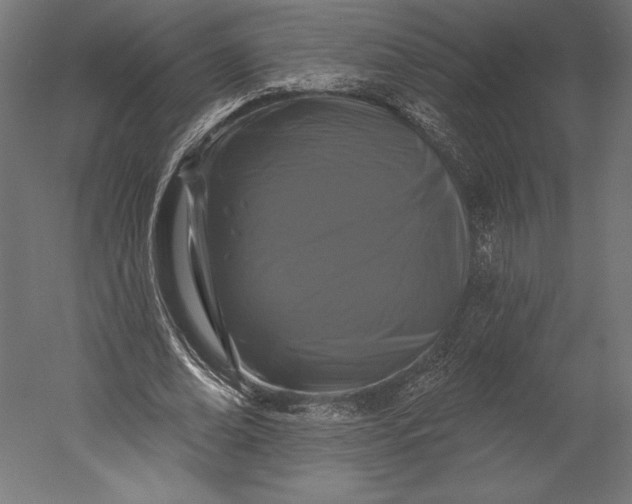 X0000051260678200507011719