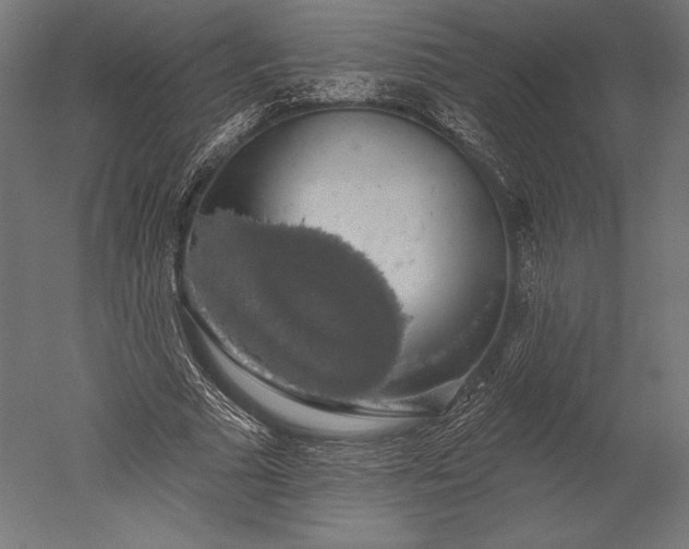 X0000051260681200507011719