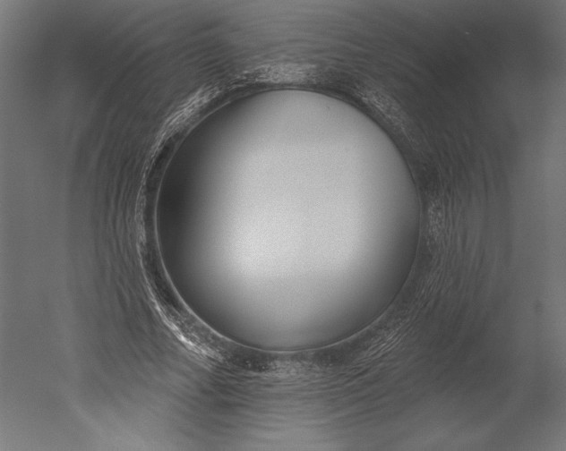 X0000051260682200507011719