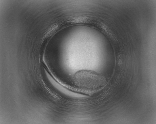 X0000051260685200507011719